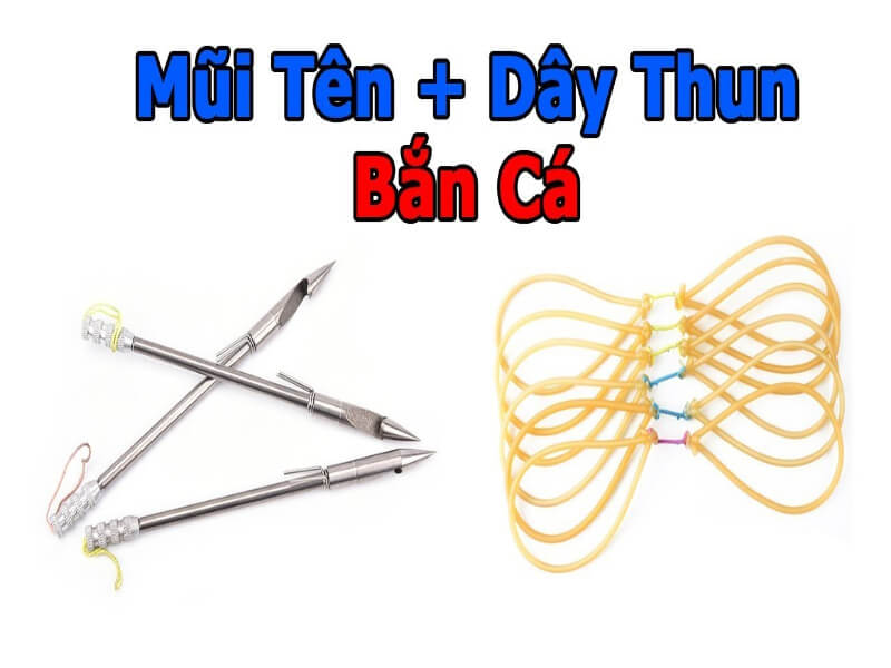 Mũi tên bắn cá tốt nhất cho người dùng